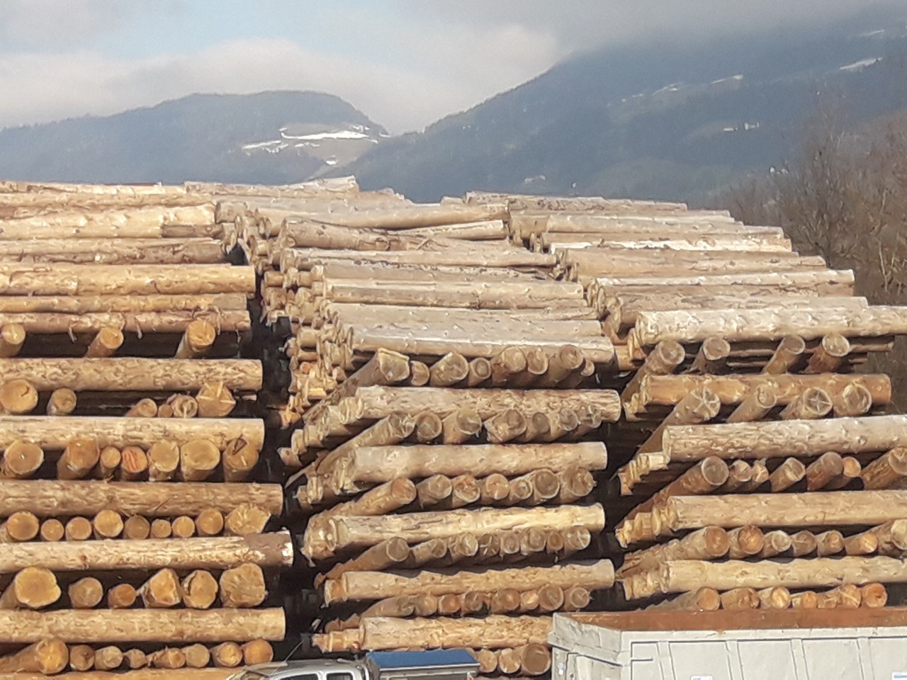Holzhacker Produkt-Beispiele Brennholz , Briketts & Pellets
