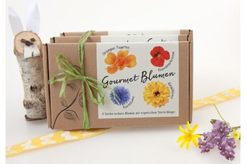 Unternehmen: Blumensamen-Set "Gourmet Blumen", Samen von essbaren Blumen - naturkraftwerk e.U.