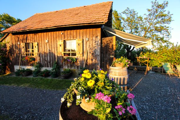 Händler - Bezirk Leibnitz - Weingut Söll - Foto unser Presshaus  - Weingut Maria & Johannes Söll "Sanfter Weinbau"