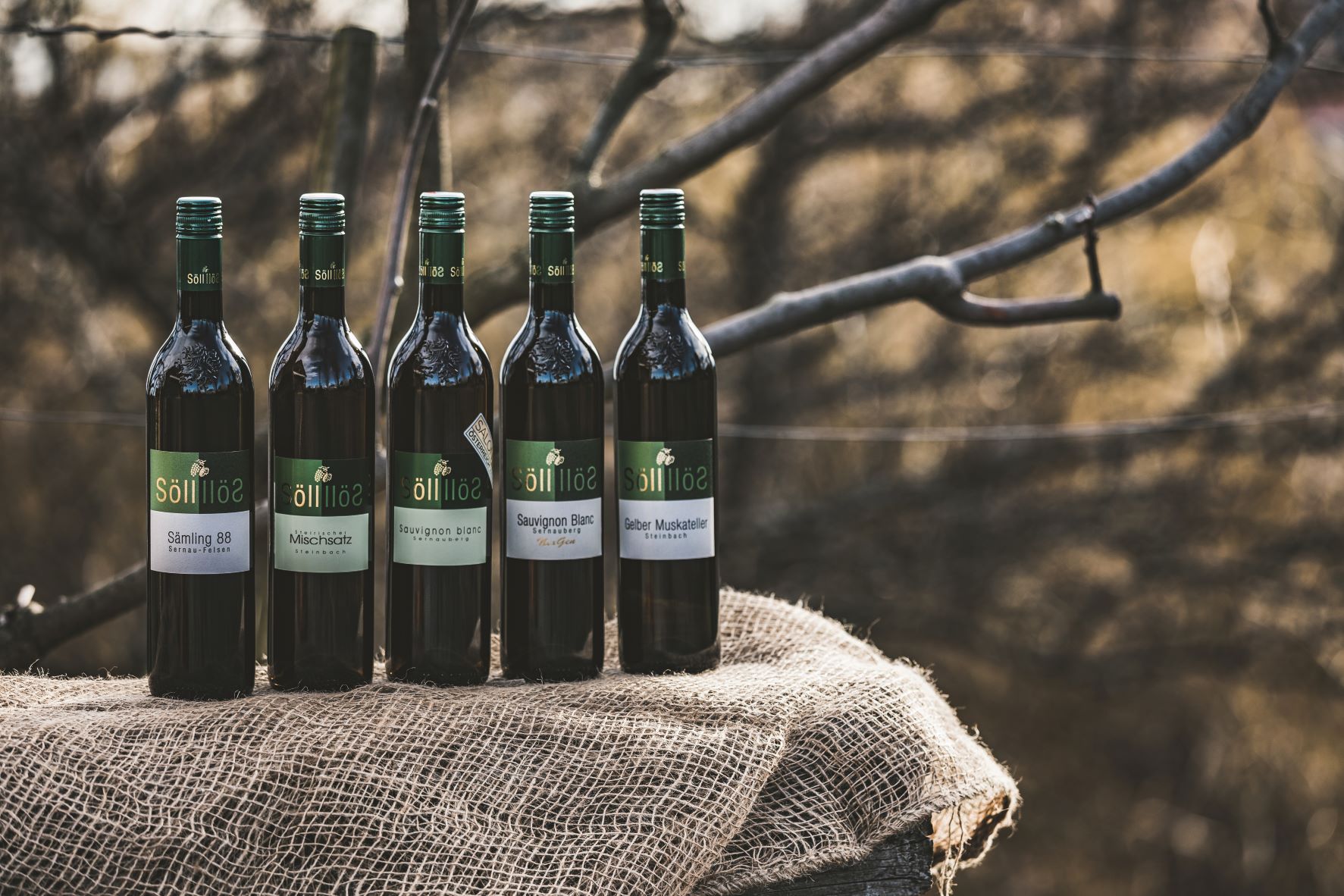 Händler - Bezirk Leibnitz - Lagenweine  - Weingut Maria & Johannes Söll "Sanfter Weinbau"