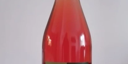 Händler - Preding (Preding) - Söll la belle Frizzante  - Weingut Maria & Johannes Söll "Sanfter Weinbau"