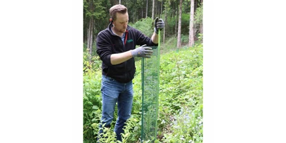 Händler - Klagenfurt - Befestigung von Baumschutzgitter mit dem WitaPro Fiberglasstab - Witasek PflanzenSchutz GmbH