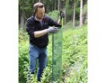 Unternehmen: Befestigung von Baumschutzgitter mit dem WitaPro Fiberglasstab - Witasek PflanzenSchutz GmbH