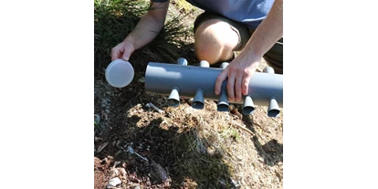 Händler - Klagenfurt - WitaTrap Rüsselkäferfangrohr - Die biologische Kontrolle des Großen Braunen Rüsselkäfers (Hylobius abietis) - Witasek PflanzenSchutz GmbH