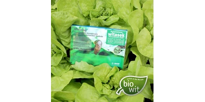 Händler - Klagenfurt - Biologische Nacktschnecken-Kontrolle mit Nematoden für die Verwendung im Hochbeet, Haus- und Kleingartenbereich - Witasek PflanzenSchutz GmbH