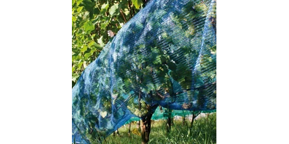 Händler - Klagenfurt - Witaflex Wespenschutznetz mit bestem Schutz gegen Insekten (z.B. Wespen) – auch guter Schutz gegen Hagel (seitlicher Aufprall) und gegen Vogelfraß - Witasek PflanzenSchutz GmbH
