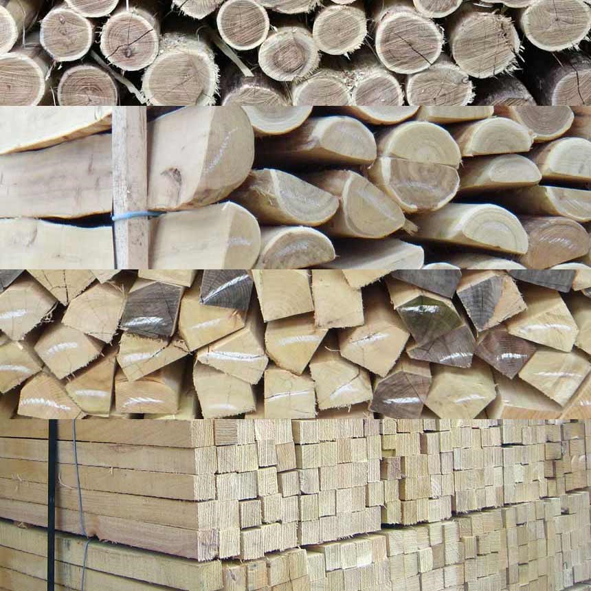 Witasek PflanzenSchutz GmbH Produkt-Beispiele Akazienhölzer (Robinia pseudoacacia)