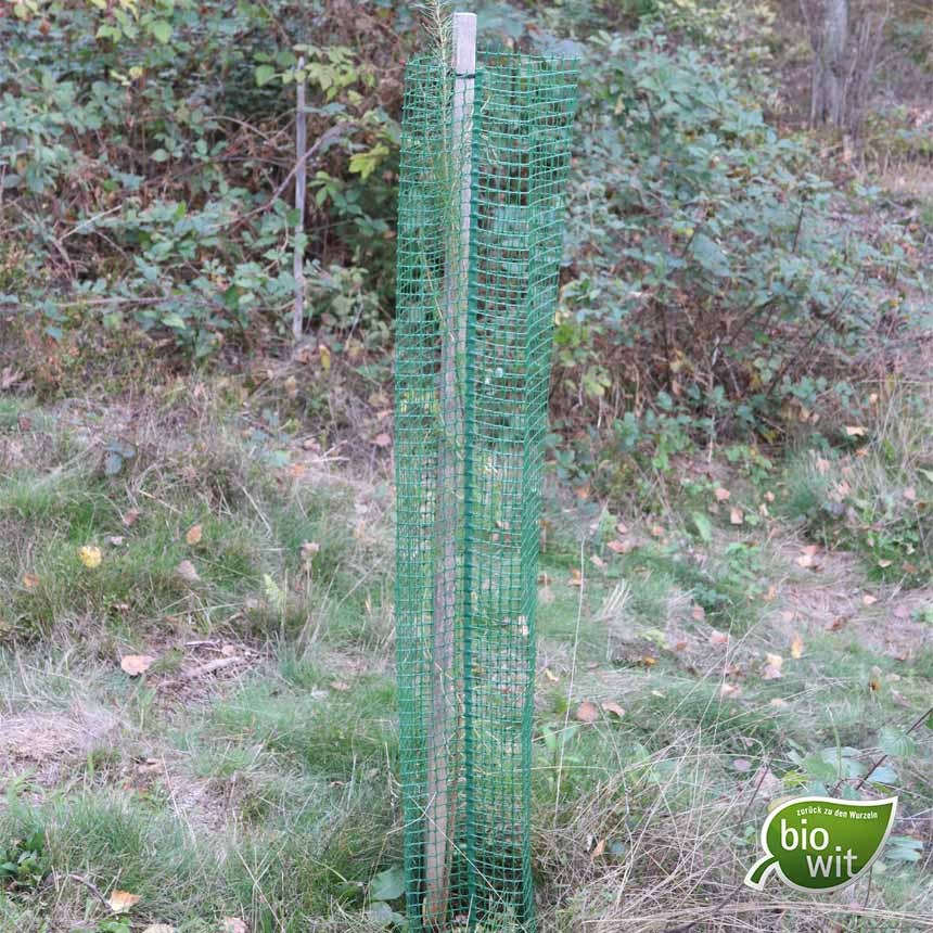 Witasek PflanzenSchutz GmbH Produkt-Beispiele BioWit® - Baum- und Rebschutzprodukte