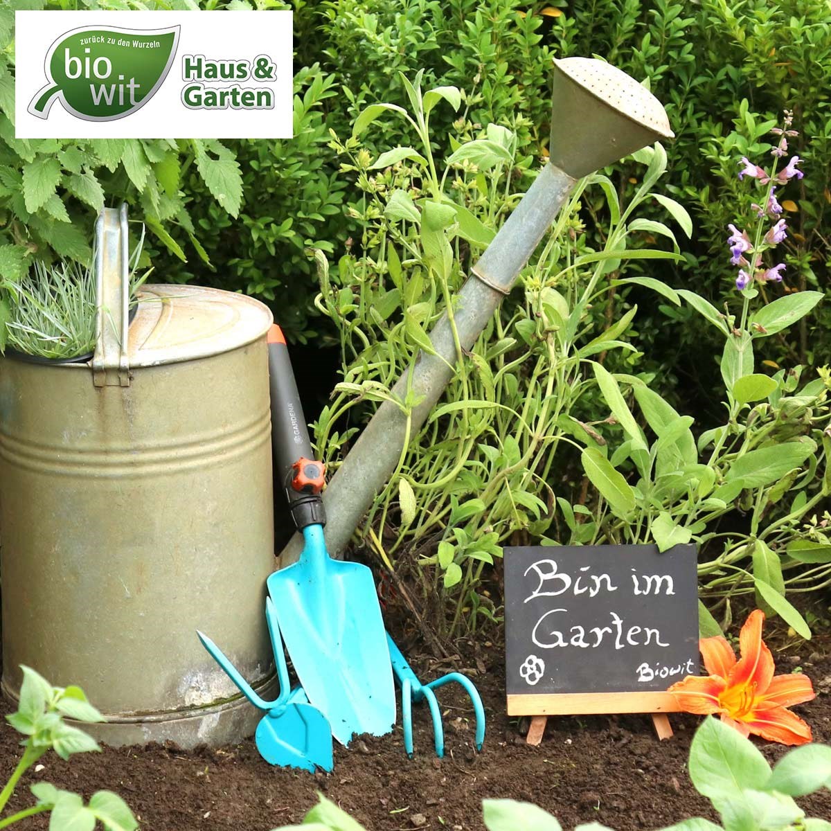 Witasek PflanzenSchutz GmbH Produkt-Beispiele Haus-Garten-BioWit - Produkte für Haus und Garten