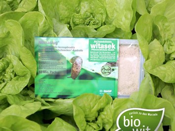 Witasek PflanzenSchutz GmbH Produkt-Beispiele Biologische Schneckenbekämpfung - Nemaslug®