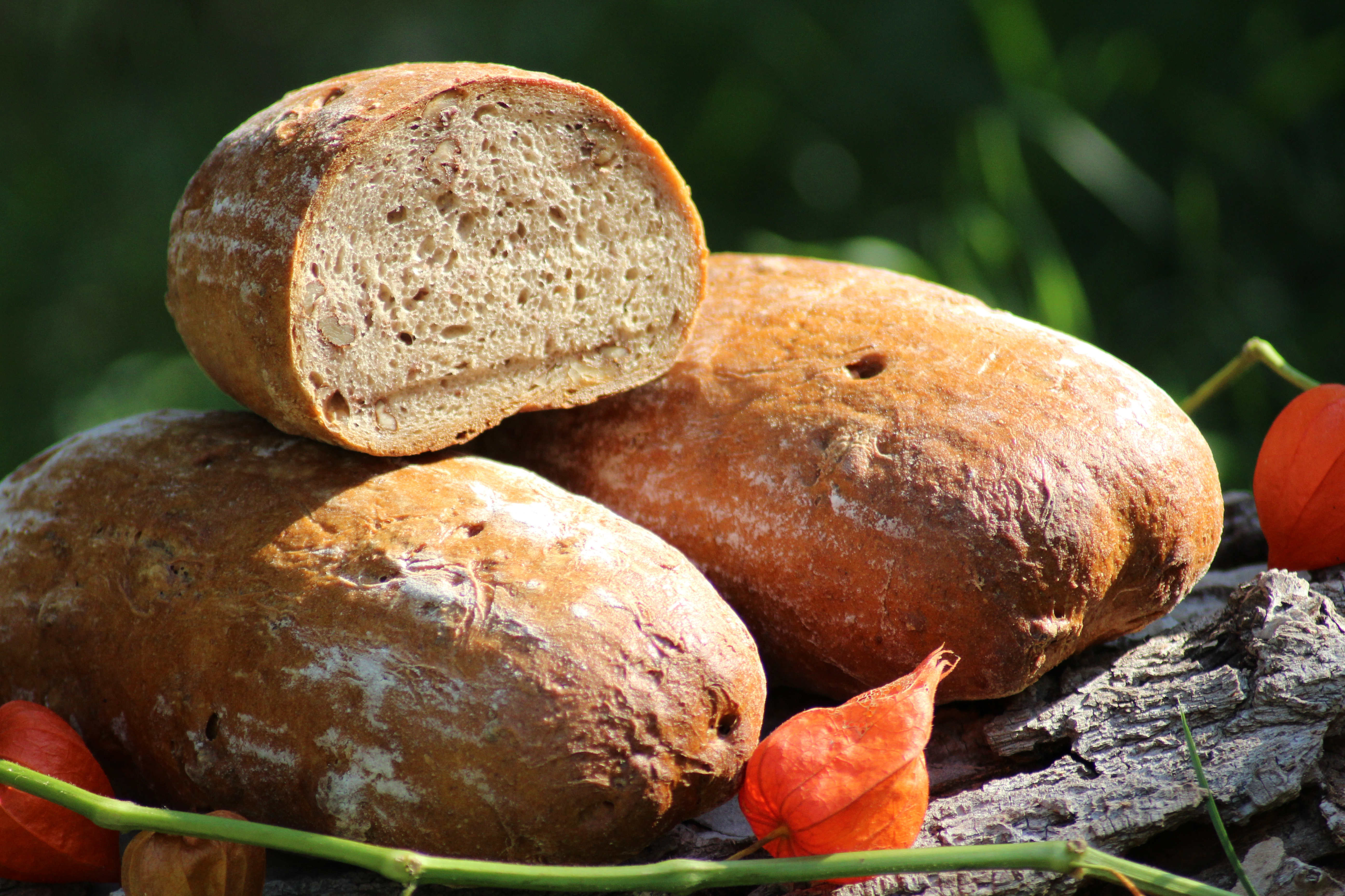 Händler - PLZ 3471 (Österreich) - Herbstzeit - Bäckerei Gerstenbauer