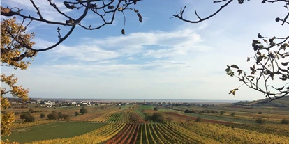 Händler - Bezirk Neusiedl am See - Weingut KISS