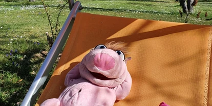 Händler - Wien-Stadt Wien - https://shop.puppendoktor.at/wp/wp/produkt/stulle-das-schwein/ - Der Puppendoktor