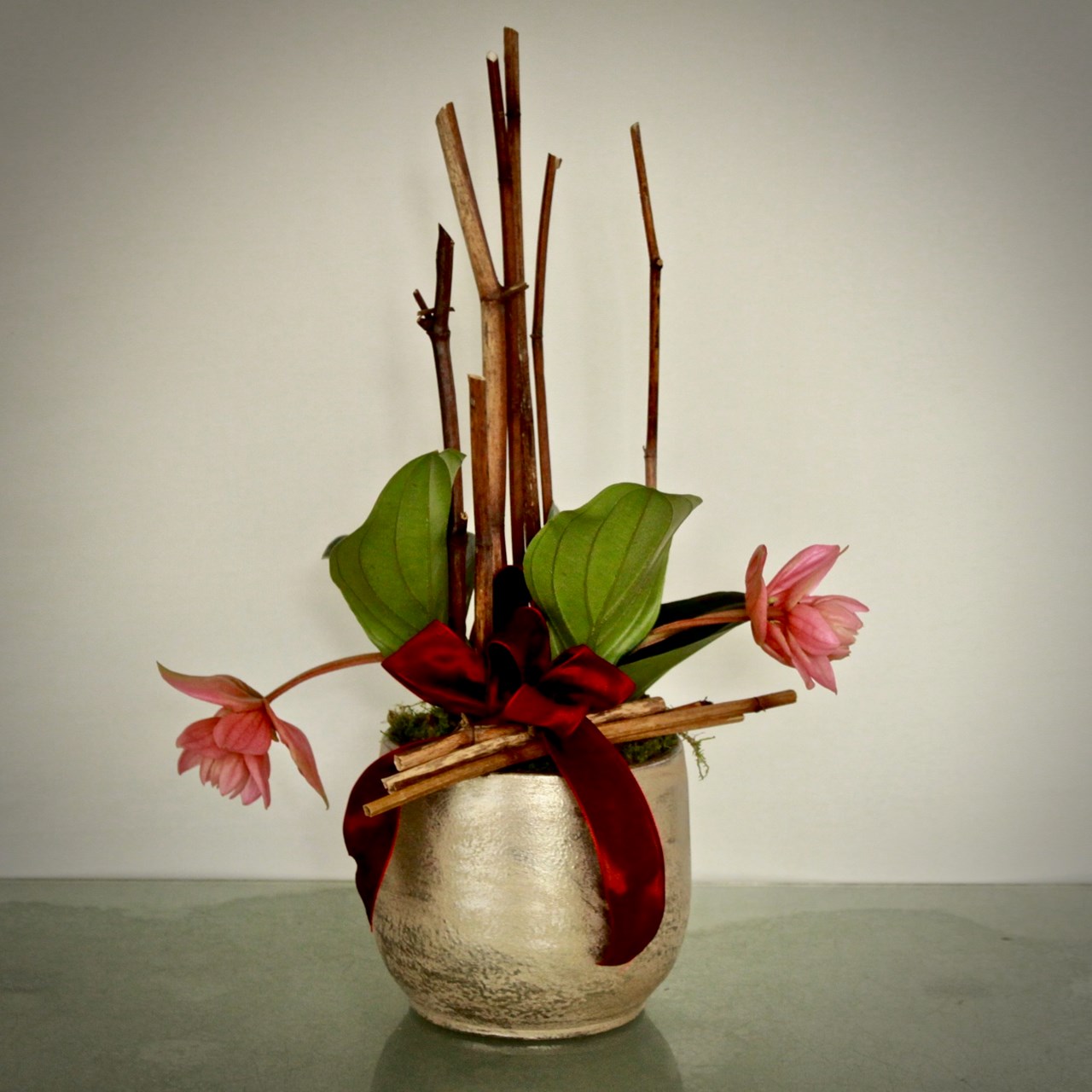 Blumen Gruber Leibnitz Produkt-Beispiele Medinilla