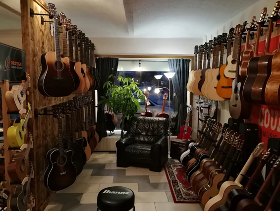 Unternehmen: ProMusic Musikfachhandel Pingist