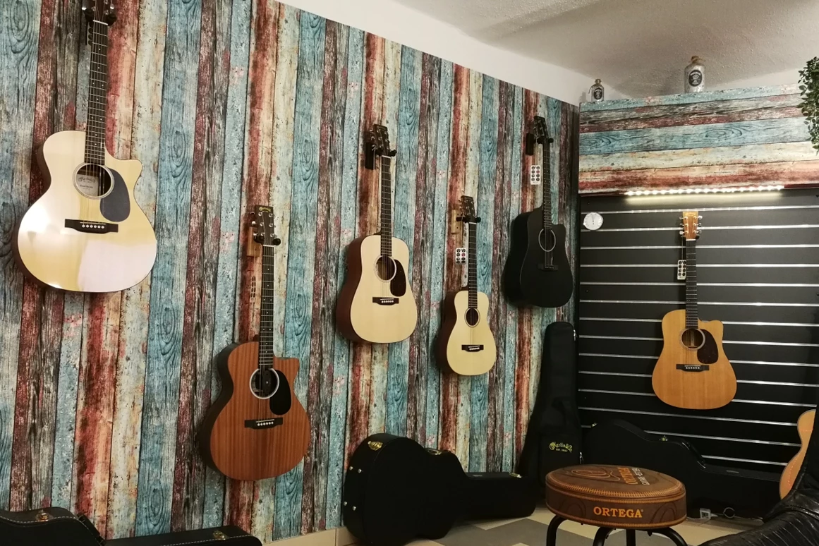 Unternehmen: ProMusic Musikfachhandel Pingist