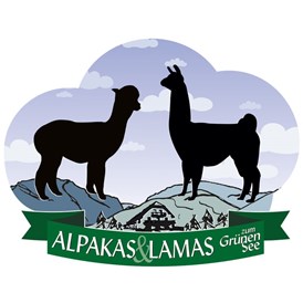 Unternehmen: Alpakas und Lamas zum Grünen See