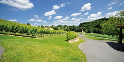 Händler - PLZ 8330 (Österreich) - Weingut Rossmann