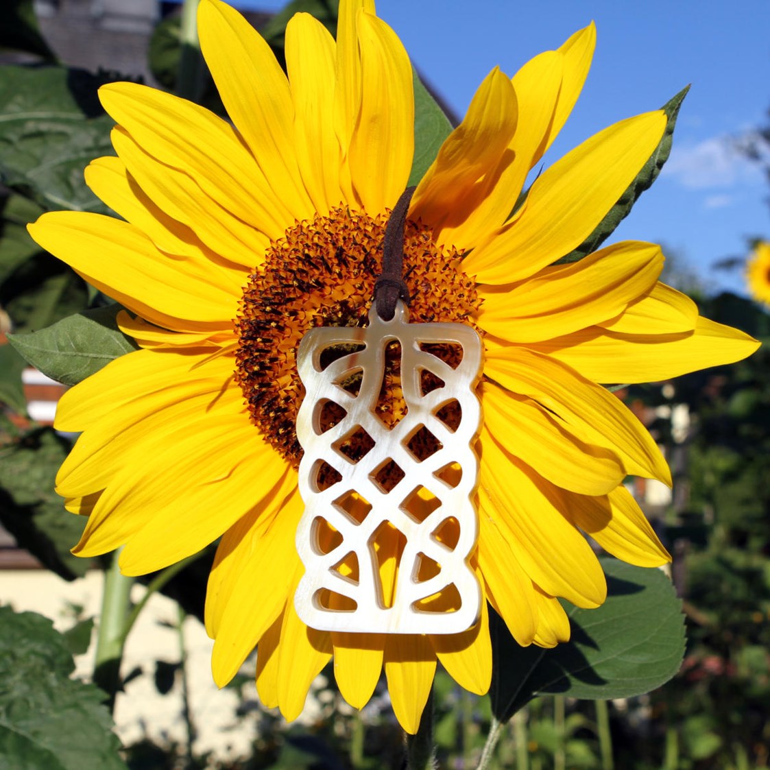 Unternehmen: Hornanhänger auf Sonnenblume - Avanova