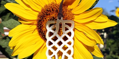 Händler - PLZ 5161 (Österreich) - Hornanhänger auf Sonnenblume - Avanova
