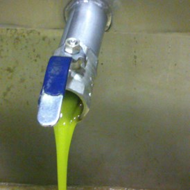 Unternehmen: Olivenöl frisch gepresst - EliTsa e.U. 