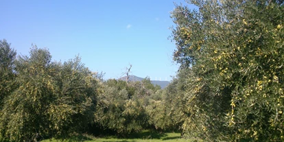 Händler - Gleisdorf - Olivenhain - EliTsa e.U.