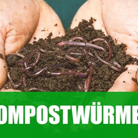Unternehmen: Kompostwürmer für den Garten, Kompost, Wurmfarm oder Hochbeet - Alpenwurm