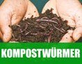 Unternehmen: Kompostwürmer für den Garten, Kompost, Wurmfarm oder Hochbeet - Alpenwurm