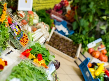 Unternehmen: ...oder knackiges Gemüse vom Robitsch aus dem Görtschitztal. - Bäckerei Wienerroither GmbH