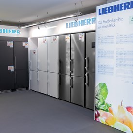 Unternehmen: Kühlschränke, Kombinationen, Side by Sider und auch Weinkühler im Sortiment und in der Ausstellung. - Radio Krejcik KG