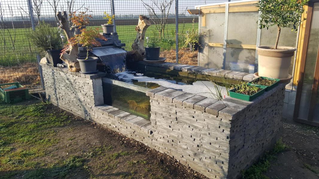 Händler - Burgenland - Hochteich & Teichpflanzen - Landwirtschaft Forestbase