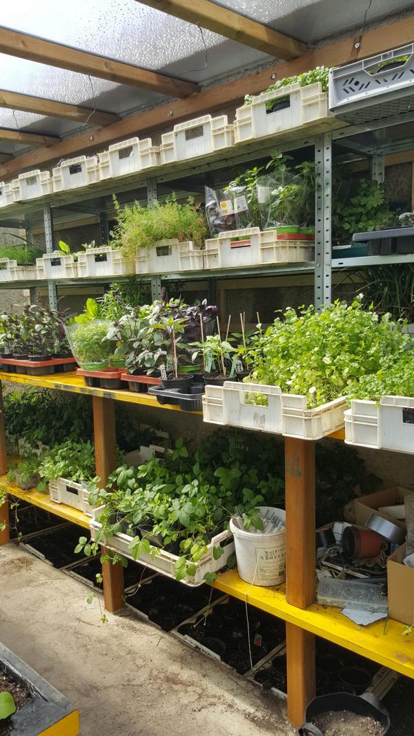 Unternehmen: Kräuter und weitere Pflanzen - Landwirtschaft Forestbase