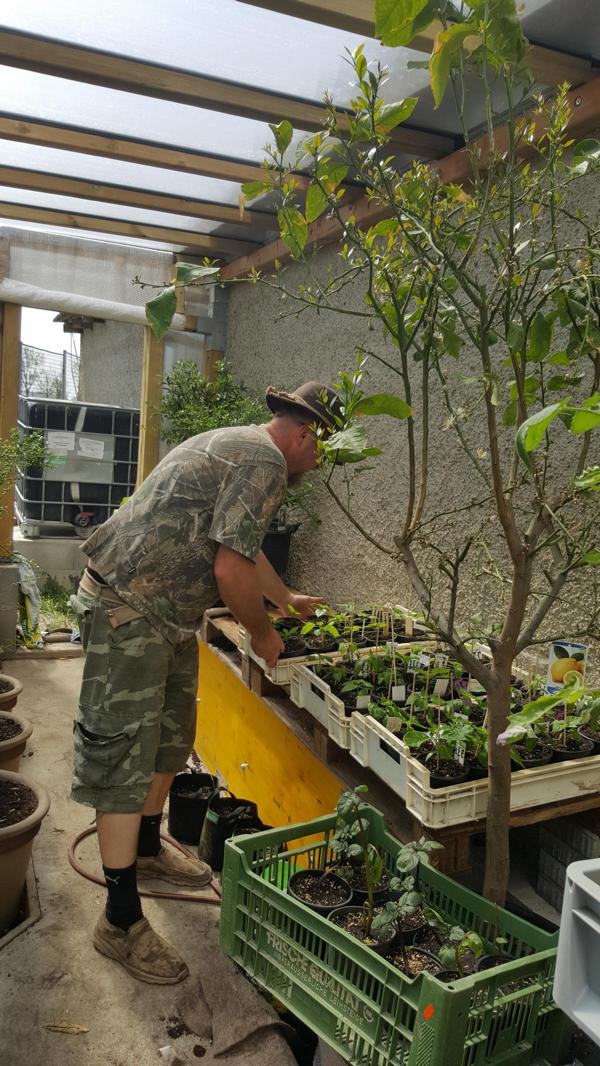 Unternehmen: Chili, HOT, HOT, HOT - Landwirtschaft Forestbase