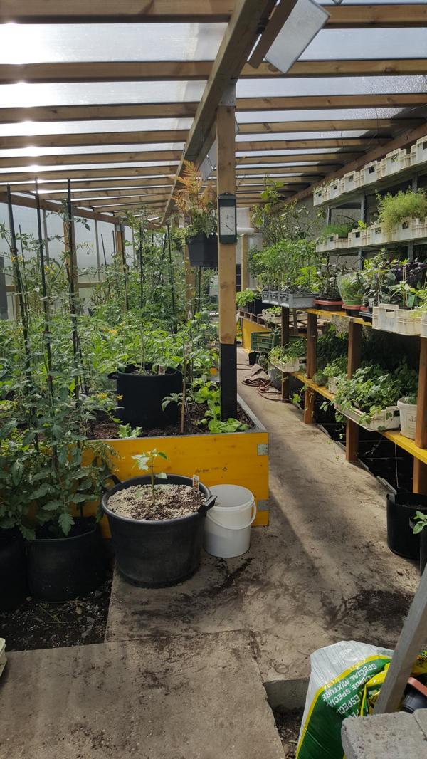 Unternehmen: Anzucht - Landwirtschaft Forestbase