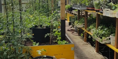 Händler - Burgenland - Anzucht - Landwirtschaft Forestbase