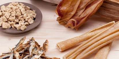 Händler - PLZ 5161 (Österreich) - Hundesnacks - Wittis-Tiernahrung GmbH