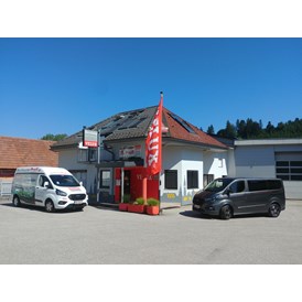 Unternehmen: Dachfenster-Profi Handels-u. Montage GmbH