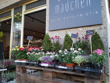 Unternehmen: Blumenmädchen Meisterfloristik