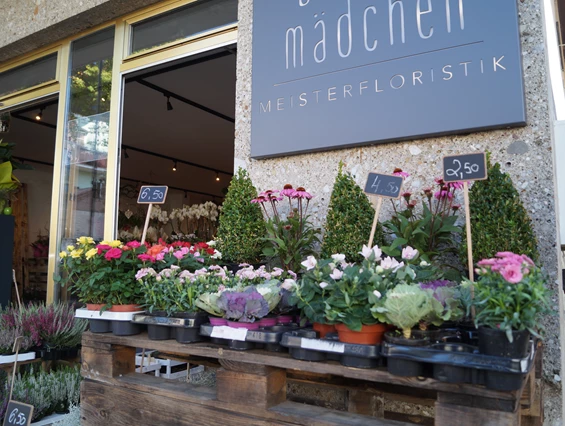 Unternehmen: Blumenmädchen Meisterfloristik