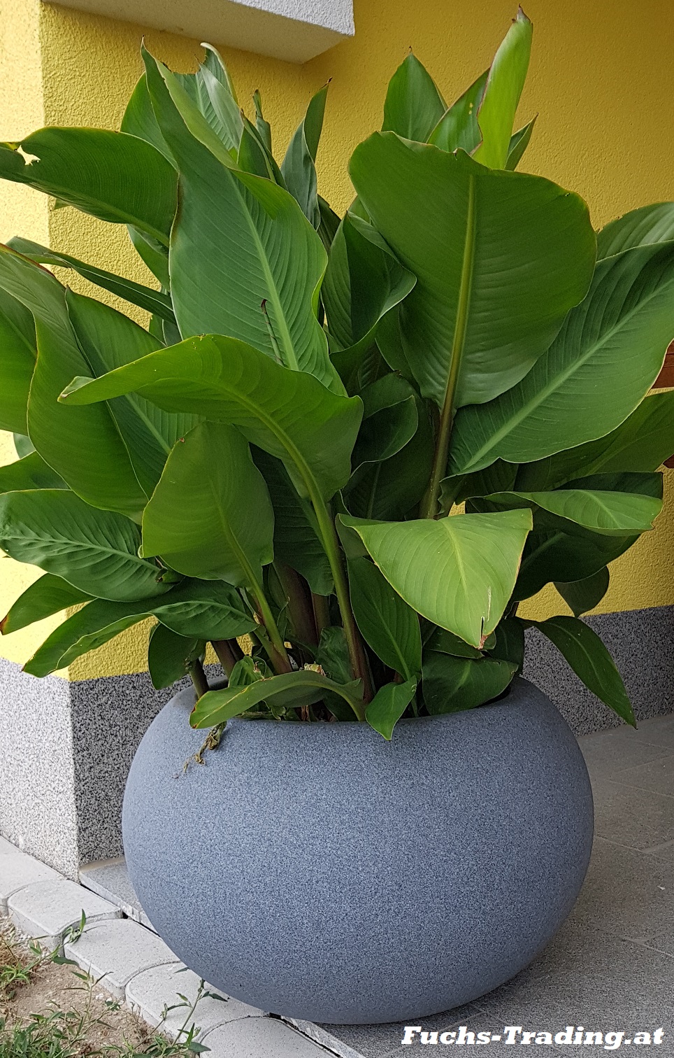 Unternehmen: Fuchs-Trading