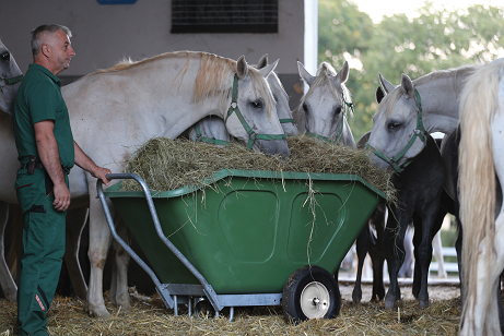 Unternehmen: Fuchs-Trading