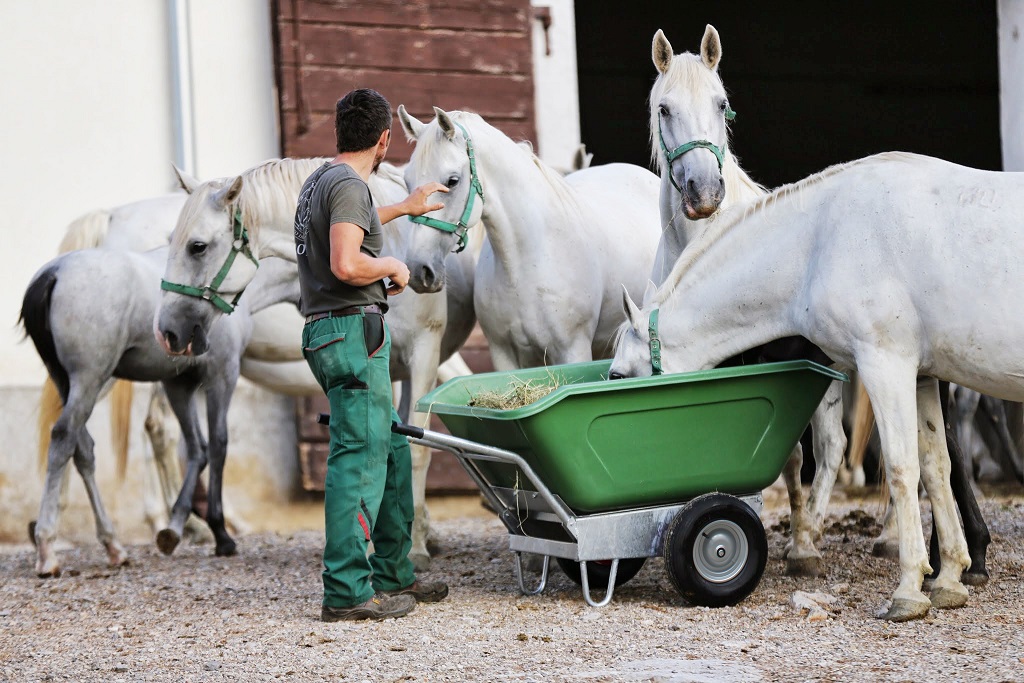 Unternehmen: Fuchs-Trading