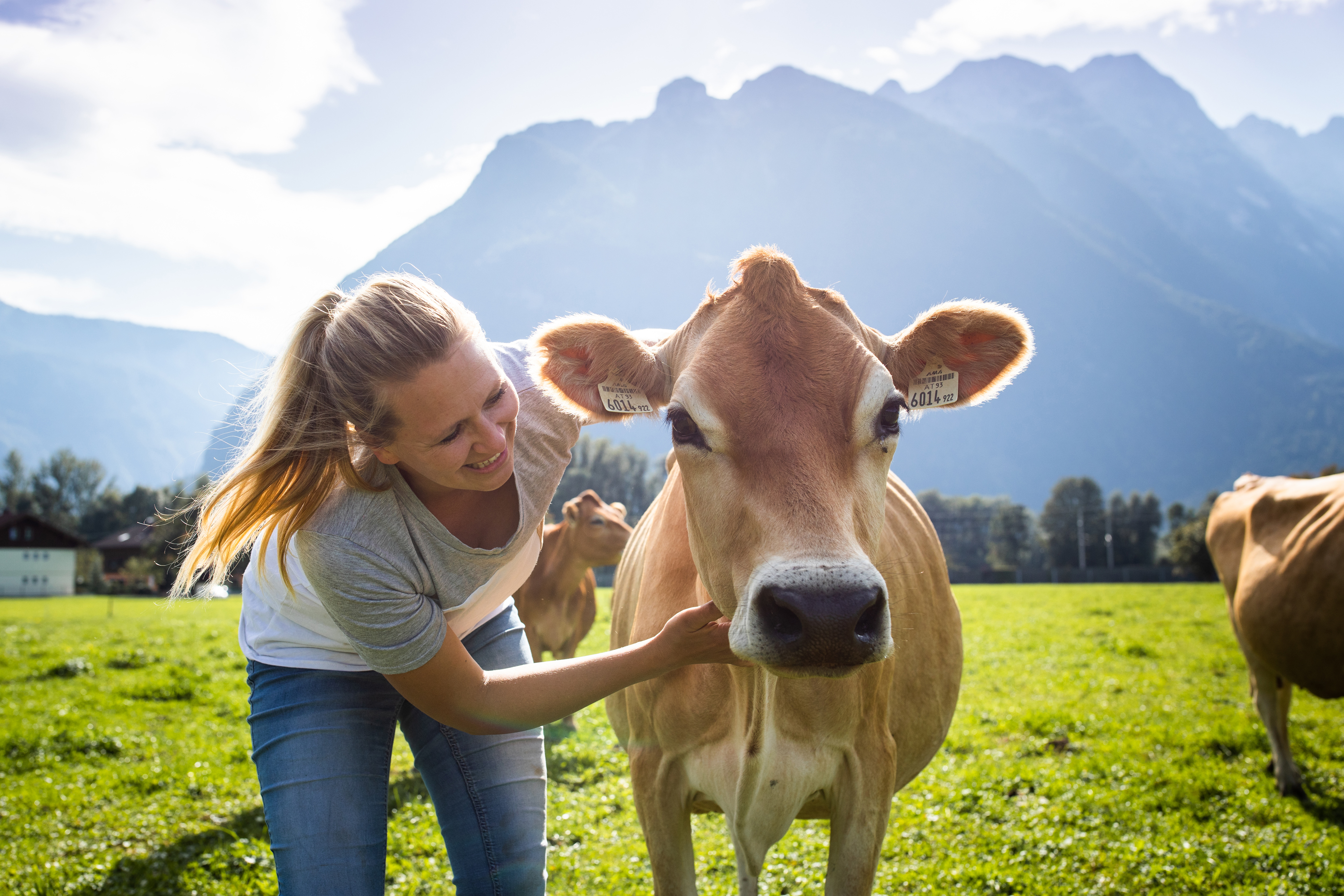 Händler - PLZ 5323 (Österreich) - Landwirtin und Pädagogin Maria mit Kuh Sonnenschein Copyright Salzburger Land - Bio Hofkäserei Fürstenhof