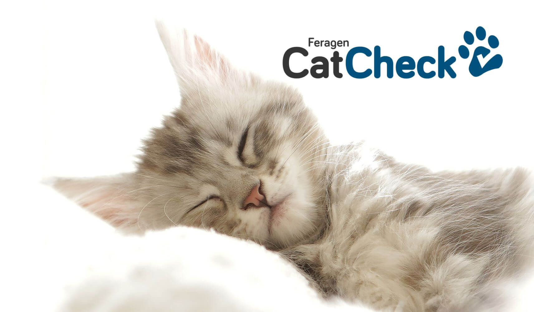 FERAGEN GmbH Produkt-Beispiele Catcheck