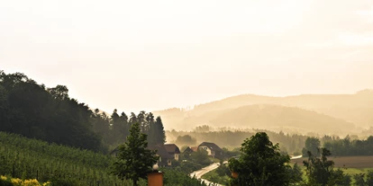 Händler - Gleisdorf - Hödl Hof Ausblick - Hödl Hof – Brennerei