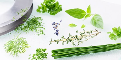 Händler - PLZ 5161 (Österreich) - Schonend behandelte Kräuter sorgen für beste Würzkraft und volle Aromatik. - Viveria GmbH