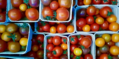 Händler - PLZ 5161 (Österreich) - Bunte Cocktailtomaten - Lielonhof