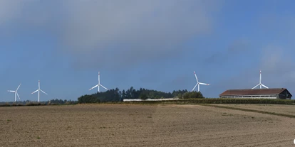 Händler - Bezirk Gmünd - Ort Griesbach - Druckerei Janetschek GmbH