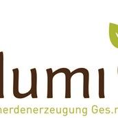 Unternehmen - Blumi GmbH