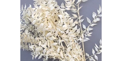 Händler - PLZ 5161 (Österreich) - Ruscus gebleicht - Rasp Salzburg - Gewürzgebinde Hochzeitsanstecker Kunstblumen